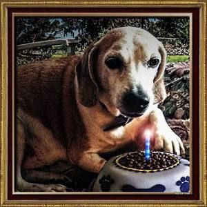 Meet your Posher, Zena